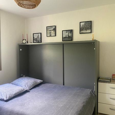 Studio Au Pied Des Pistes Et Des Cures Mont-Dore Eksteriør billede